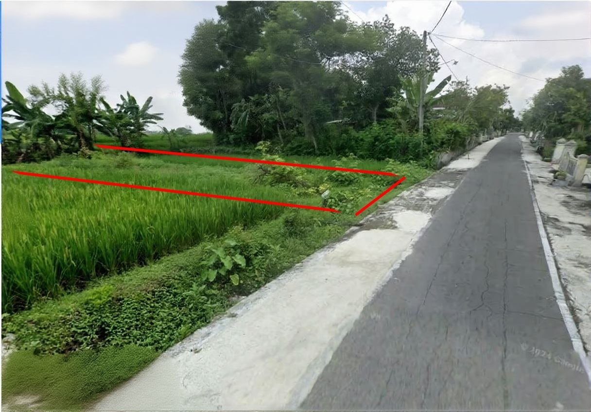 Tanah pekarangan luas di perkampungan nyaman & asri di Masaran, Sragen