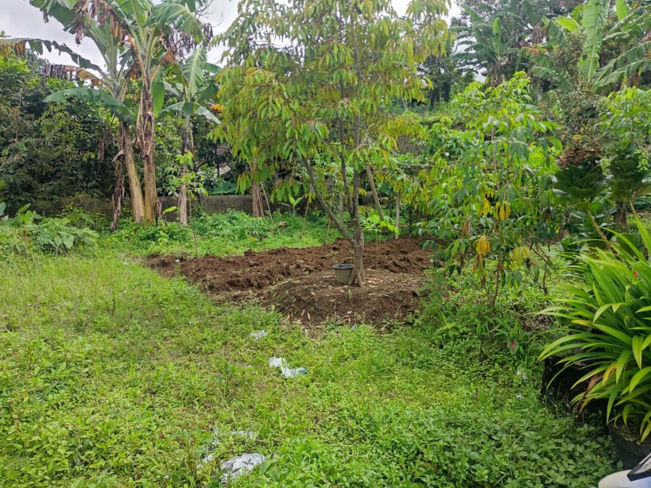 Tanah pekarangan di Kawasan Wisata Sejuk dekat Tawangmangu di Kemuning, Karanganyar